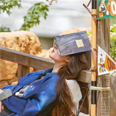 大汉风之胯下之辱